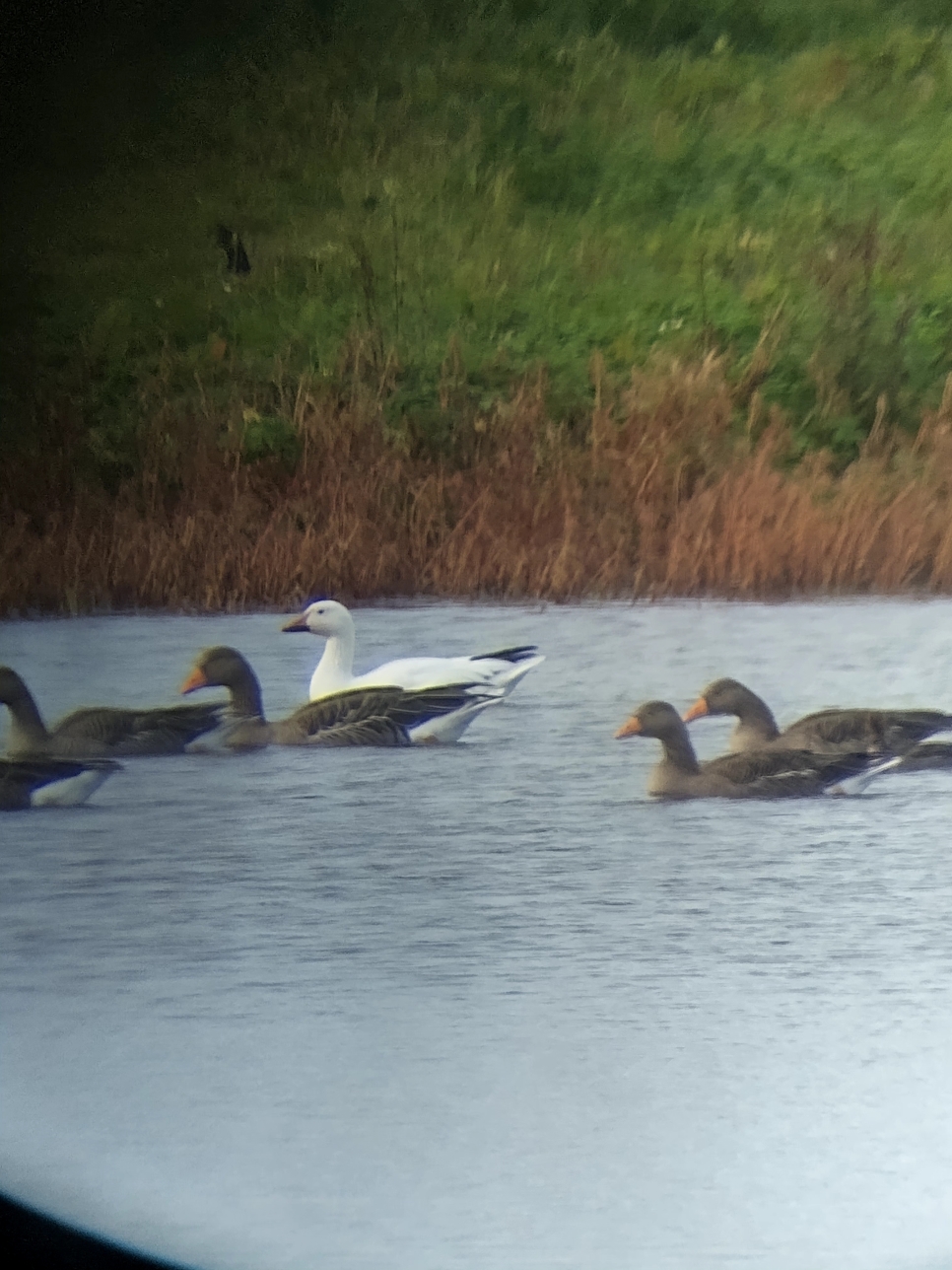 Latest Sightings